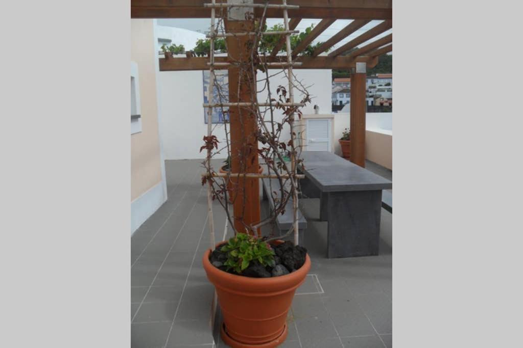 Oceanfront Studio - Casa Santo Antonio Sao Mateus  ภายนอก รูปภาพ